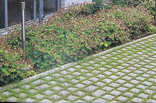上海缝隙植草砖